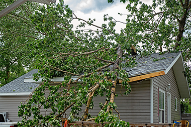 Auburn Storm Clean Up