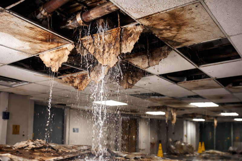 Auburn Commercial Restoration Services